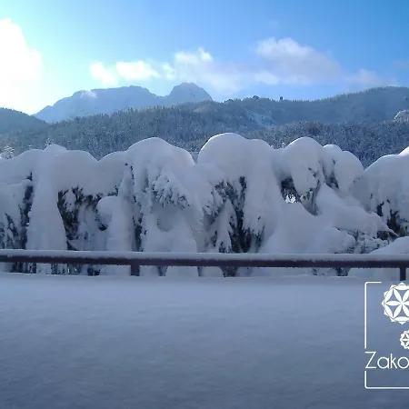 アパート Zakopane Willa ザコパネ