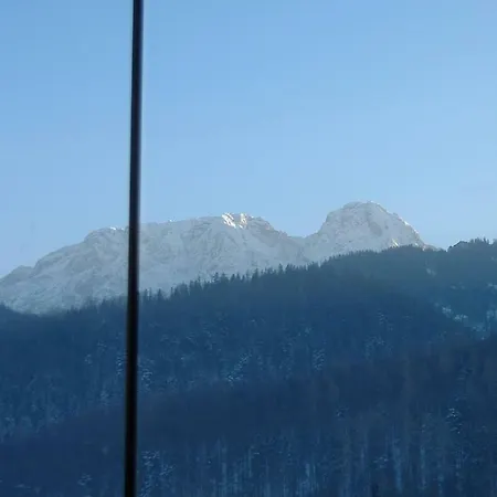 Zakopane Willa アパート *