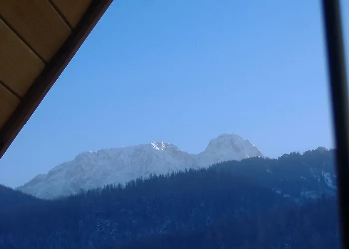 Zakopane Willa Daire